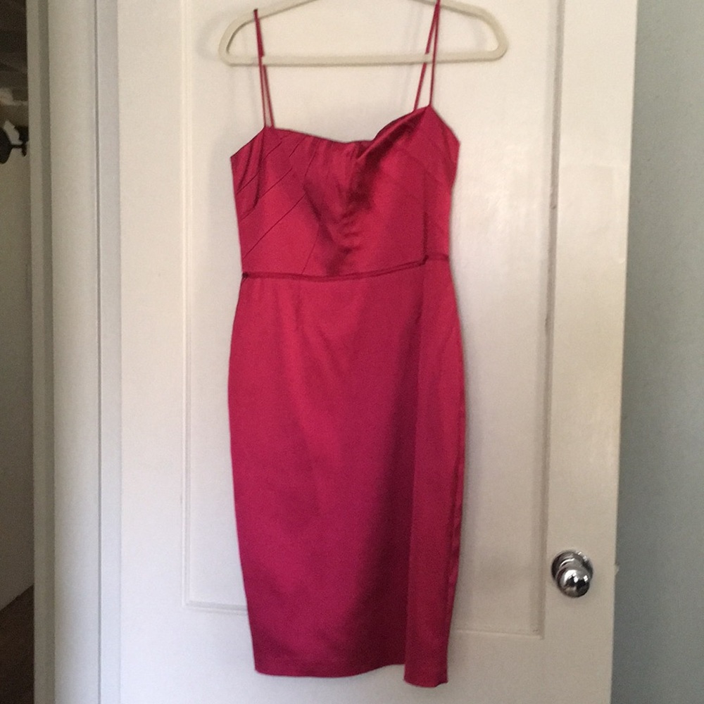 Beautiful Hot Pink Satin David Meister Dress